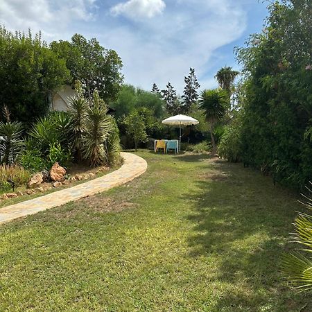 Villa Micasa Ibiza San Antonio Abad Exterior foto